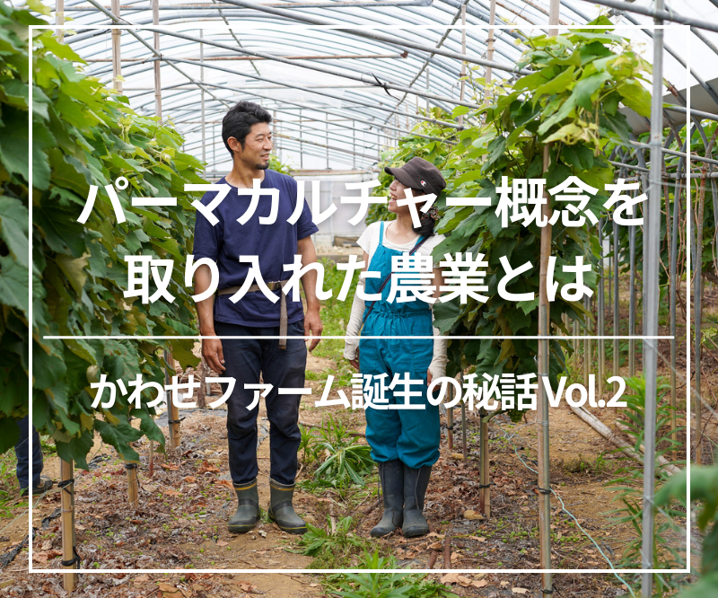 パーマカルチャー概念を取り入れた農業とは〜かわせファーム誕生の秘話Vol.2〜