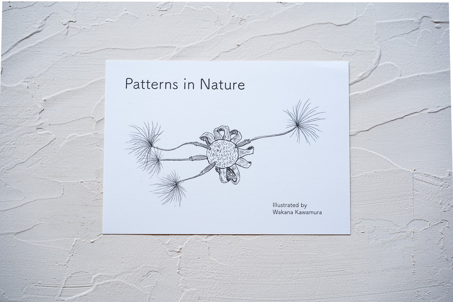 ぬりえ大判カードセット Patterns in Nature -森と描く-